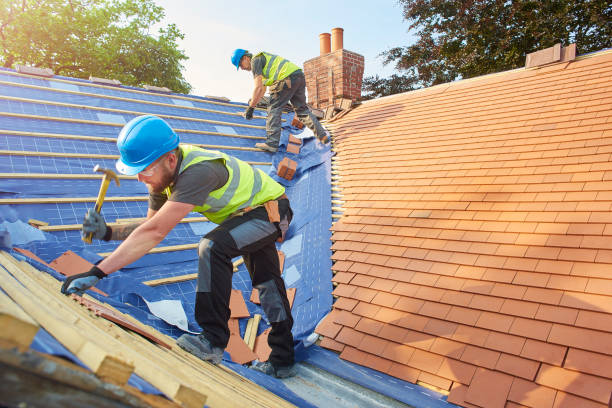Best Roof Maintenance and Cleaning  in West Wyoming, PA
